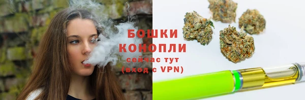 индика Няндома