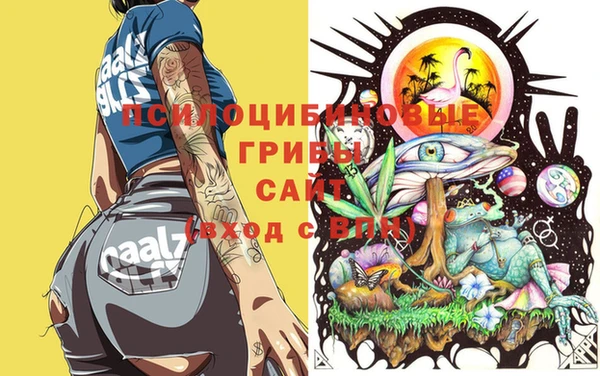 гидропоника Балахна