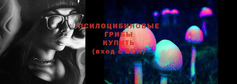 Псилоцибиновые грибы Cubensis  сколько стоит  Верхнеуральск 